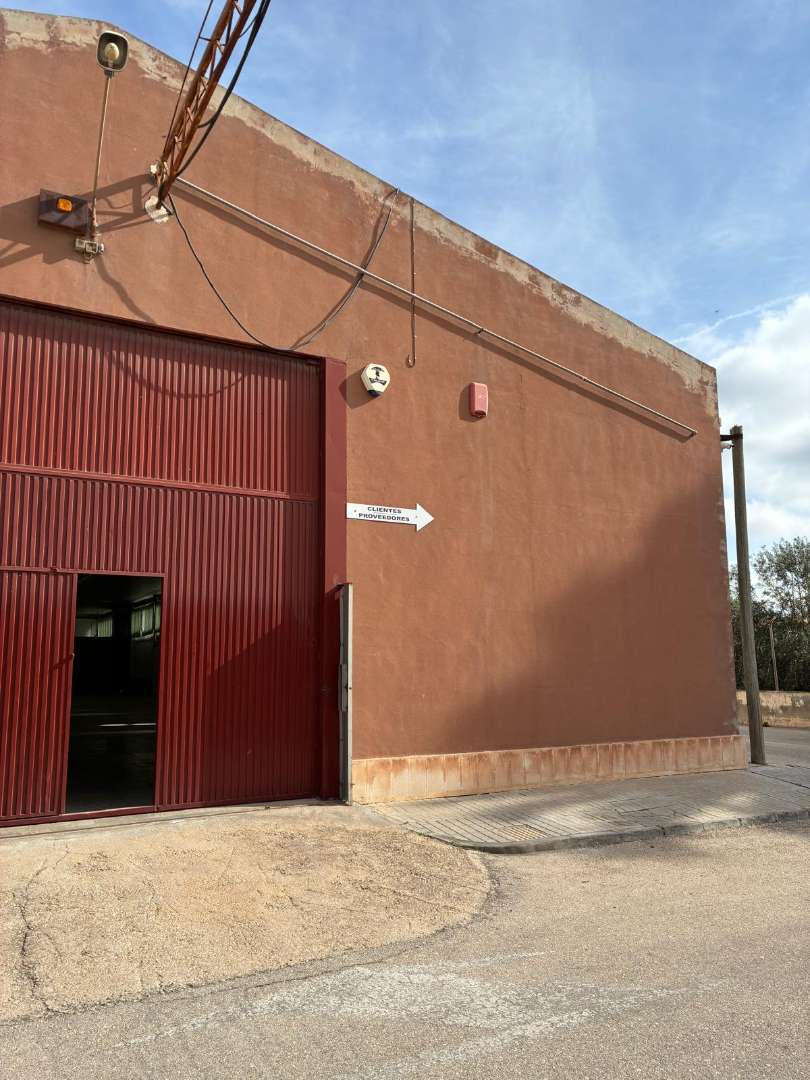 Alquiler nave industrial en camí de vizcarra 27 nave para alquilar en Elche / Elx — 2
