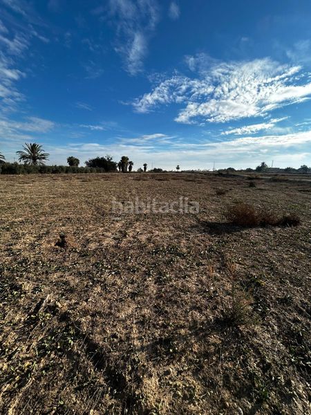 Finca rústica en Partida marina 14. Terreno con casita de aperos — 2