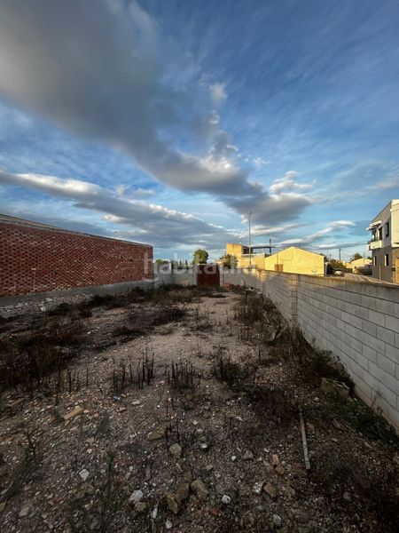 Terreno residencial Avenida de la constitución. Terreno en catral — 2